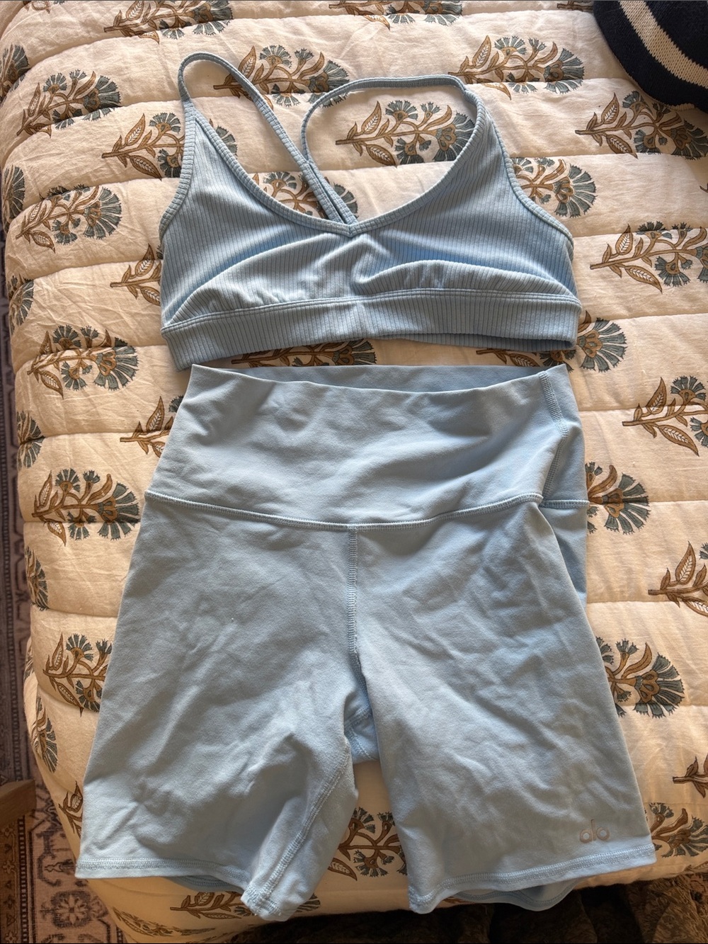 Alo Yoga set- bra and biker shorts